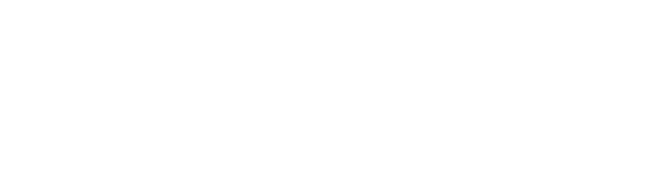 StellarGrade NetSuite Consulting Logo